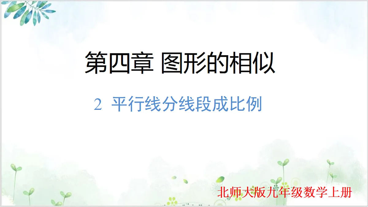 17611893第1页