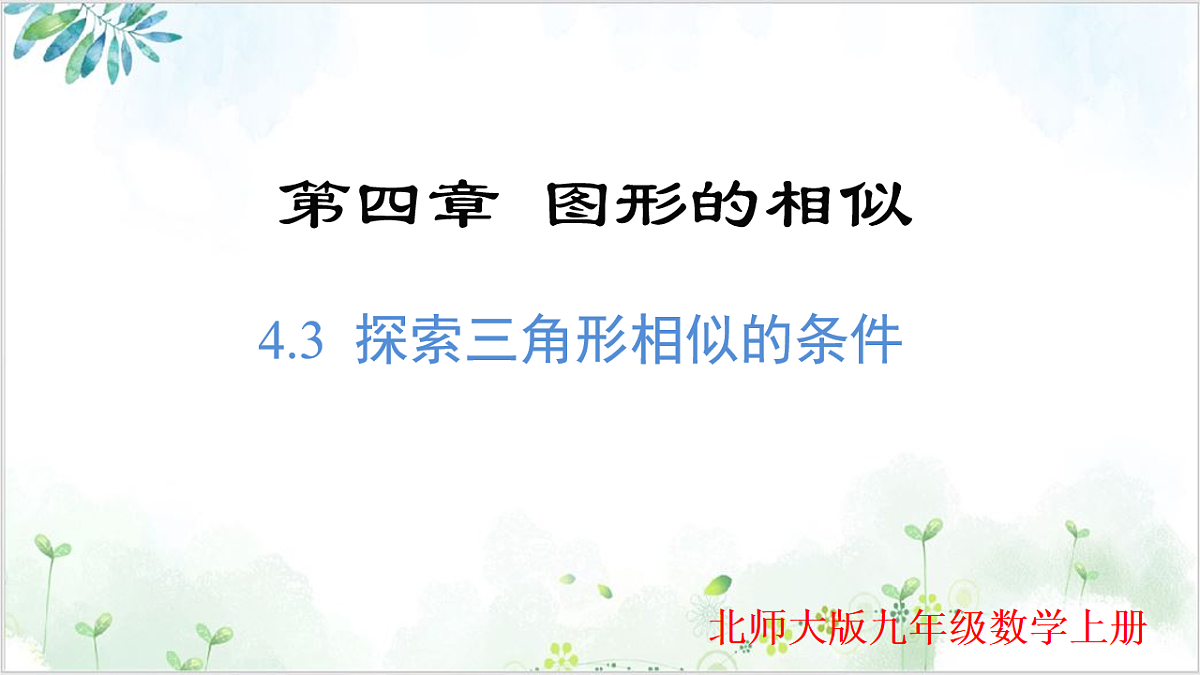 17611896第1页