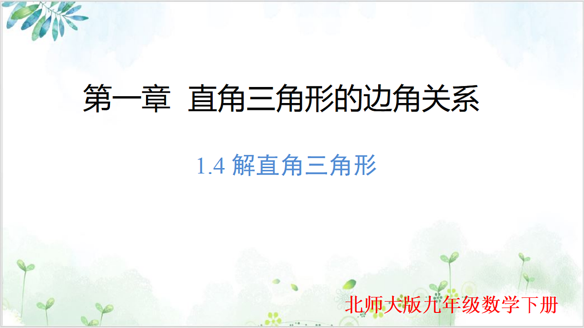17611909第1页