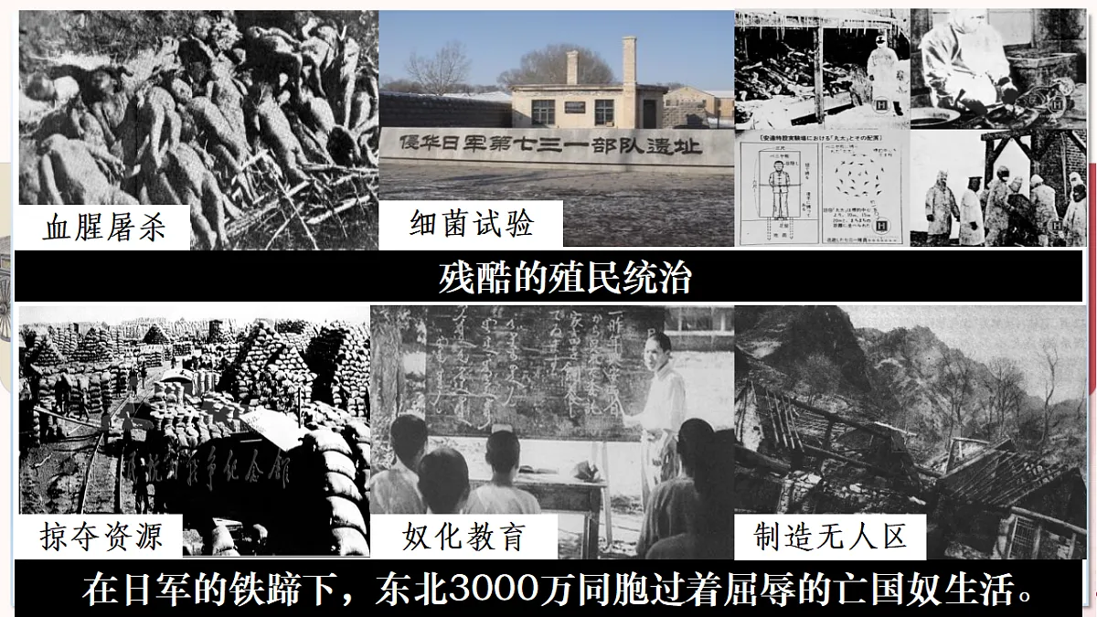 第 16课 从九一八事变到西安事变（任务型教学课件）历史统编版2024八年级上册第8页