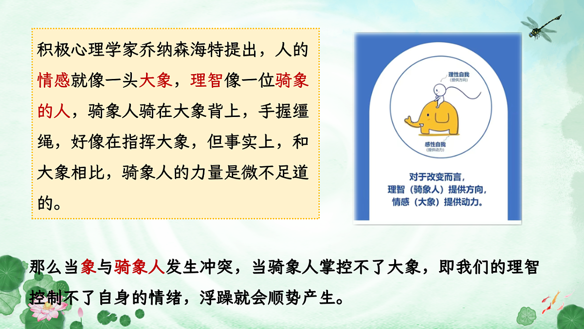 17612444第8页