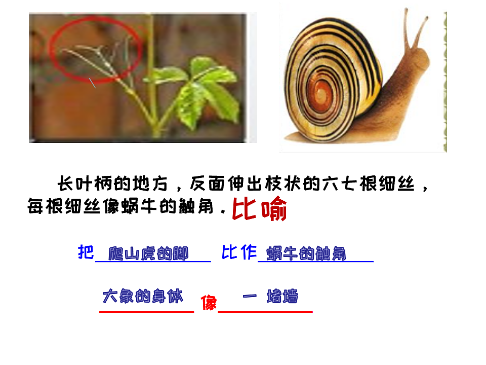 17612450第7页
