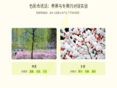 湘美版初中美术七年级下册 3.2色彩的交响 课件+教案