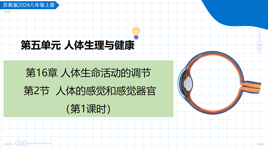 17612994第1页