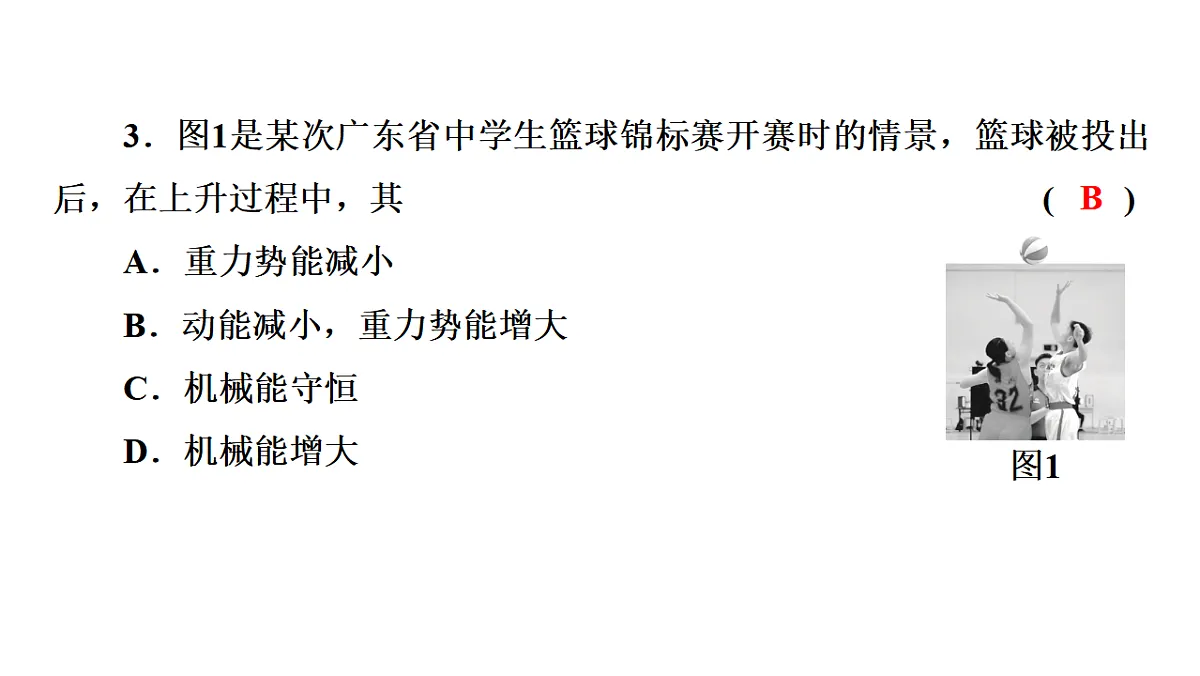 17613013第4页
