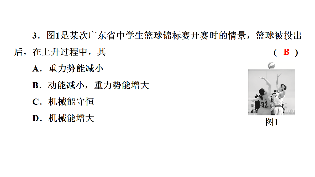 17613013第4页