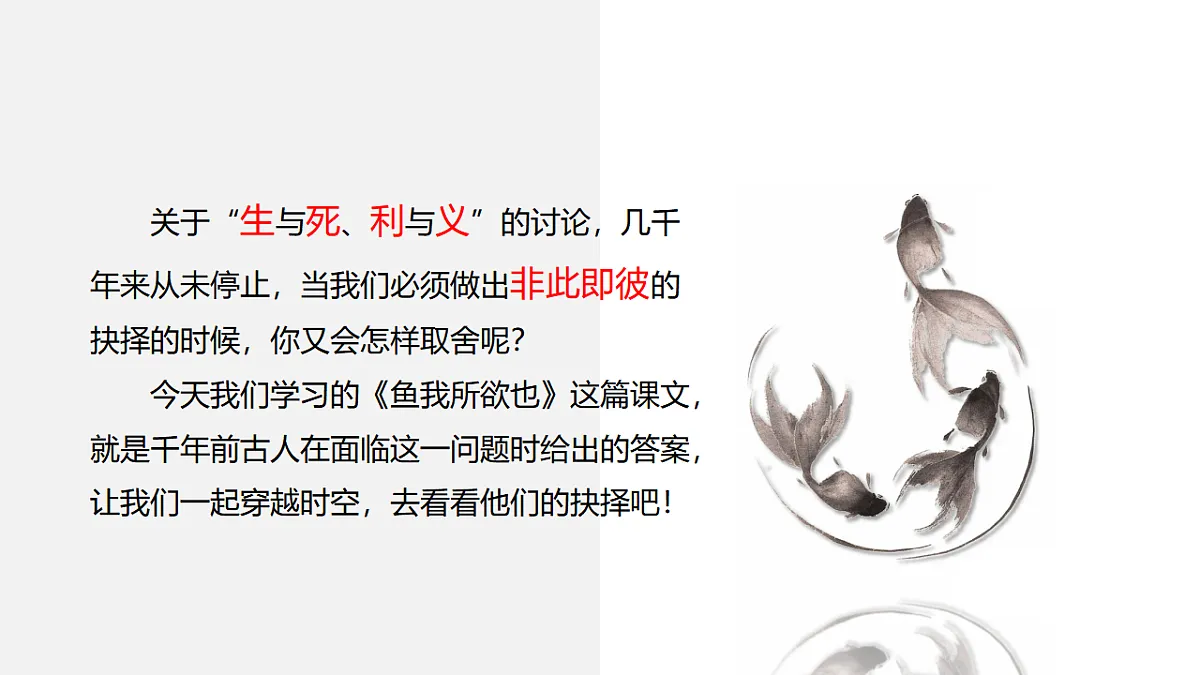 17615131第5页
