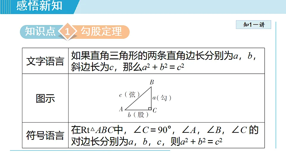 17615399第3页