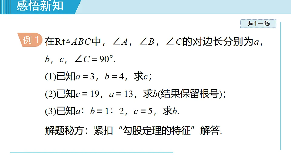 17615399第7页