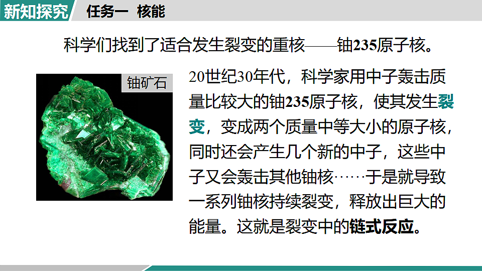 17615423第8页