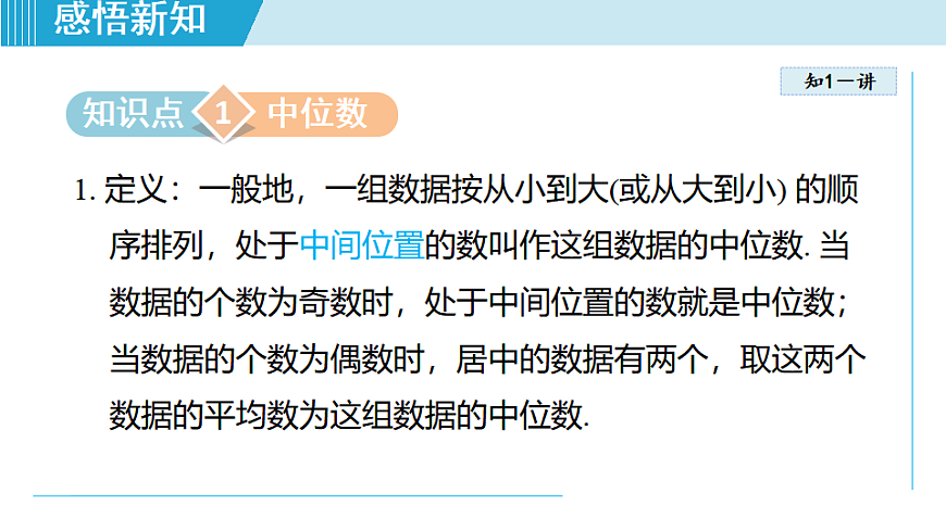 17615482第3页