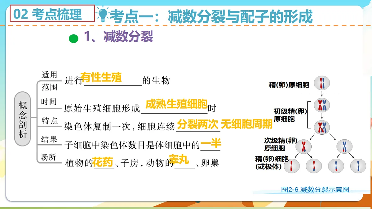 17616612第5页