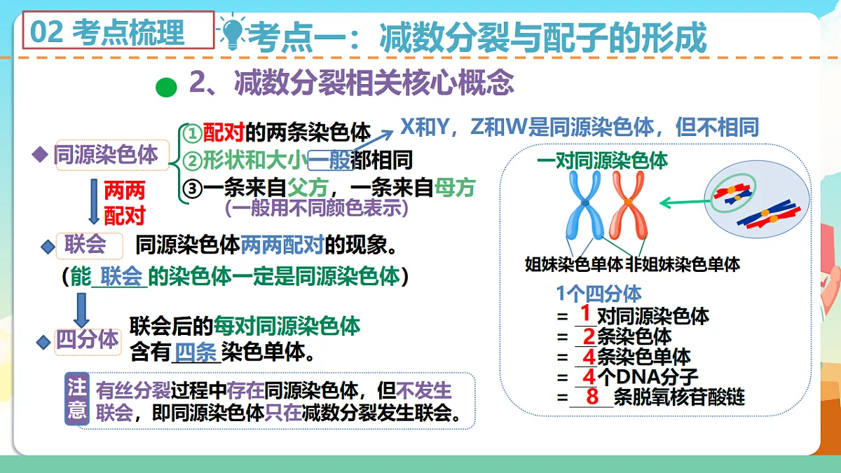 17616612第6页