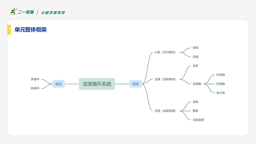17616647第5页