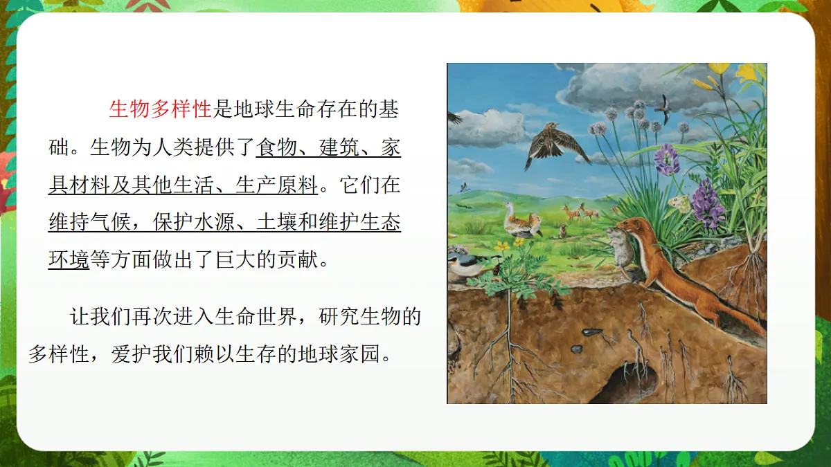 教科版（2017）科学六下2.1《校园生物大搜索》课件第4页
