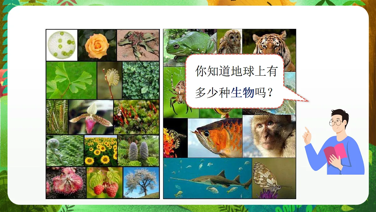 教科版（2017）科学六下2.1《校园生物大搜索》课件第8页