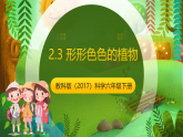 教科版（2017）科学六下2.3《形形色色的植物》课件+教案+学习任务单+课后练习+素材