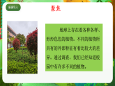 教科版（2017）科学六下2.3《形形色色的植物》课件+教案+学习任务单+课后练习+素材
