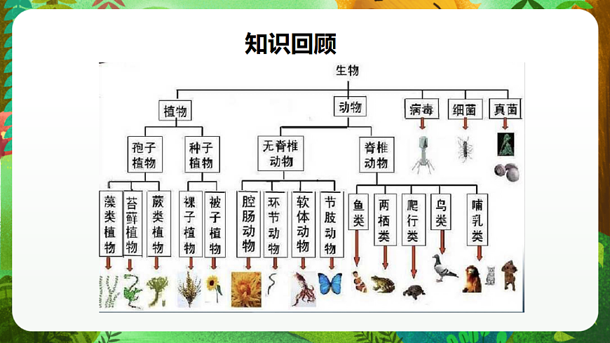 教科版（2017）科学六下2.7《保护生物多样性》课件第5页