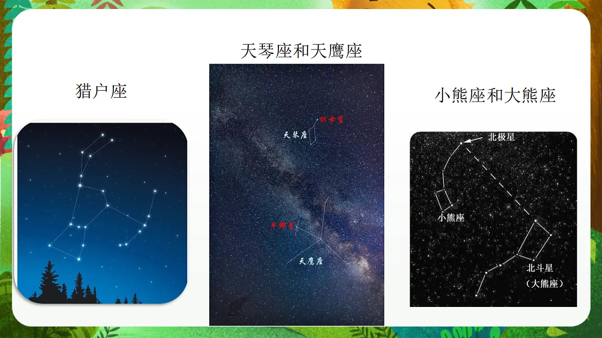 教科版（2017）科学六下3.4《认识星座》课件第5页