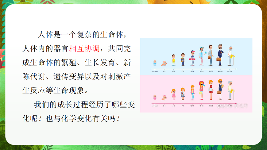 教科版（2017）科学六下4.6《生命体的化学变化》课件第4页