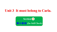 鲁教版（五四学制）（2024）九年级全册Unit 3 It must belong to Carla. Section B完整版教学课件ppt