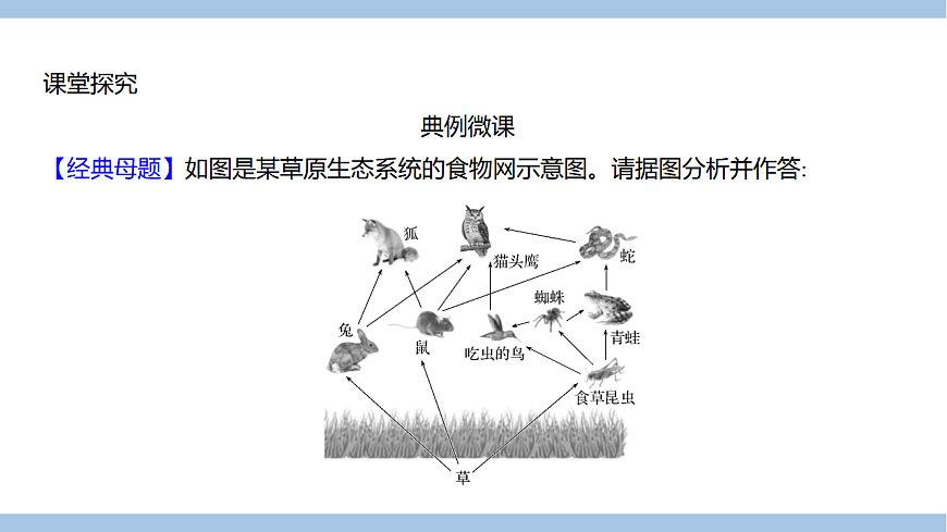 苏教版七年级生物下册第3单元第8章第1节生态系统的自我调节(一)课件第5页