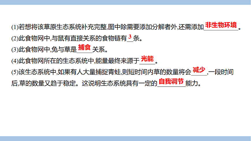 苏教版七年级生物下册第3单元第8章第1节生态系统的自我调节(一)课件第6页