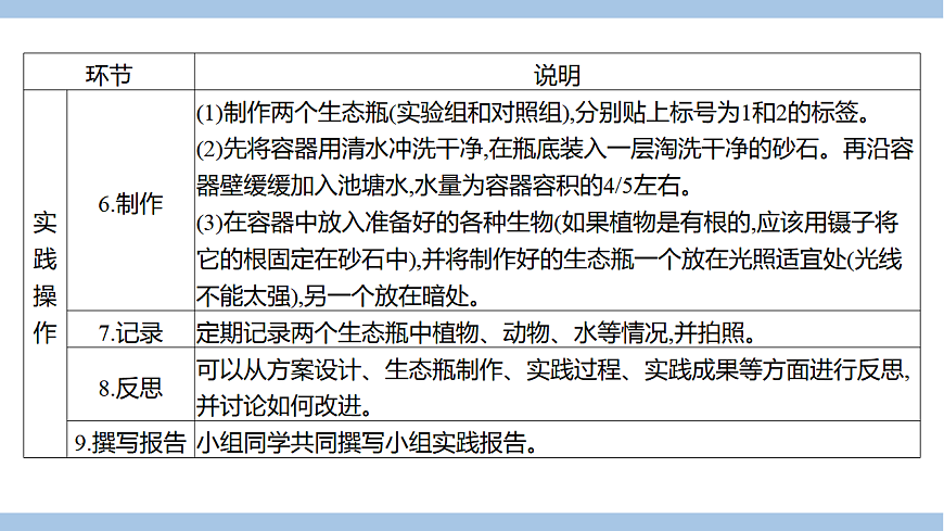 苏教版七年级生物下册第3单元第8章第1节生态系统的自我调节(二)课件第6页