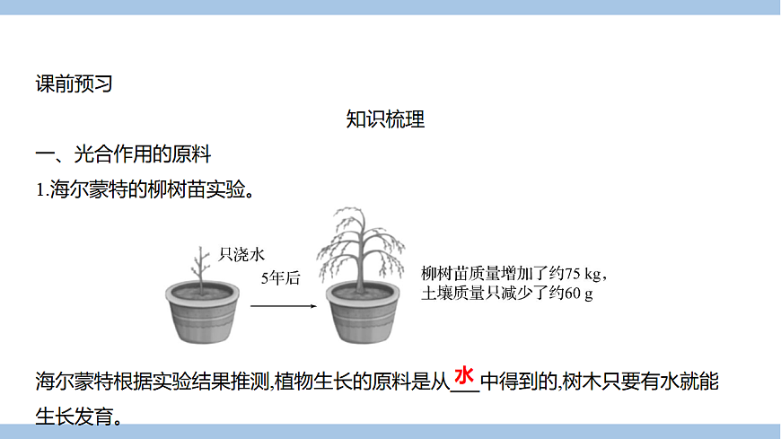 苏教版七年级生物下册第4单元第11章第1节植物的光合作用课件第2页