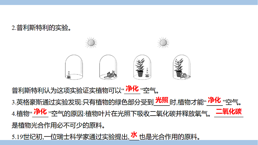 苏教版七年级生物下册第4单元第11章第1节植物的光合作用课件第3页