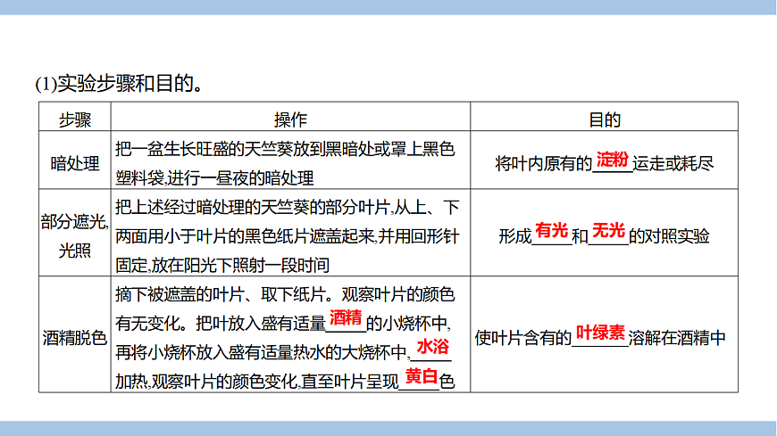 苏教版七年级生物下册第4单元第11章第1节植物的光合作用课件第5页