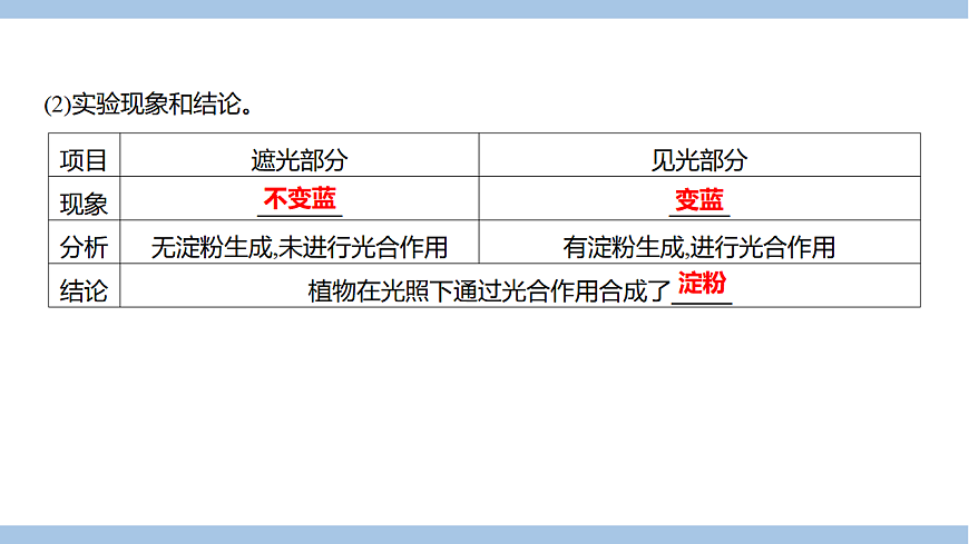 苏教版七年级生物下册第4单元第11章第1节植物的光合作用课件第7页