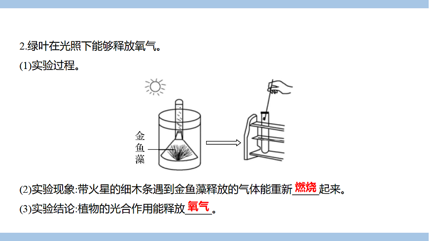苏教版七年级生物下册第4单元第11章第1节植物的光合作用课件第8页