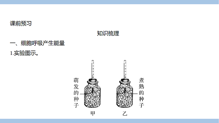 苏教版七年级生物下册第4单元第11章第2节植物的呼吸作用课件第2页