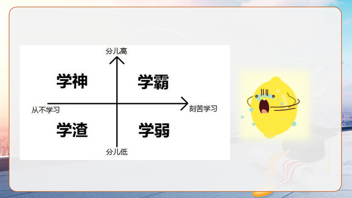 17619559第3页