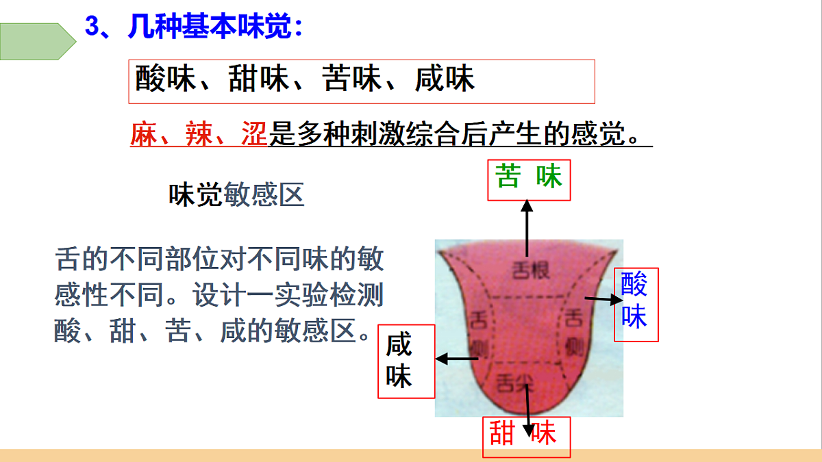 17619617第4页