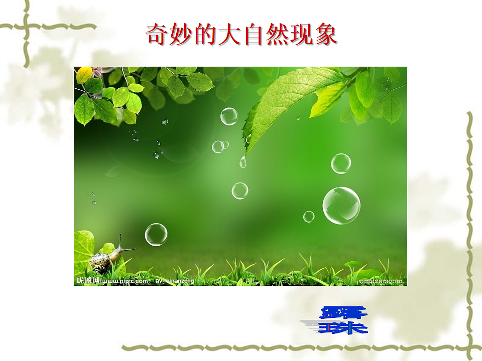 17619643第5页