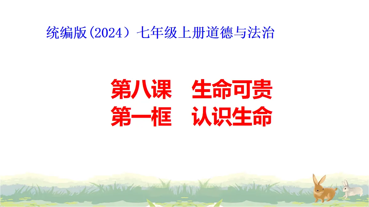 17619766第2页