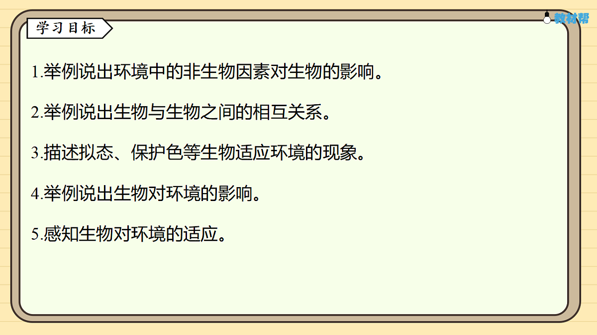 17619781第2页
