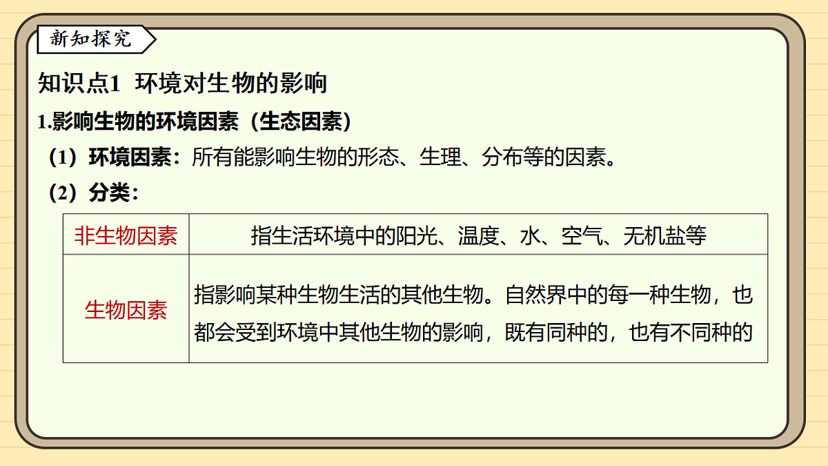 17619781第3页