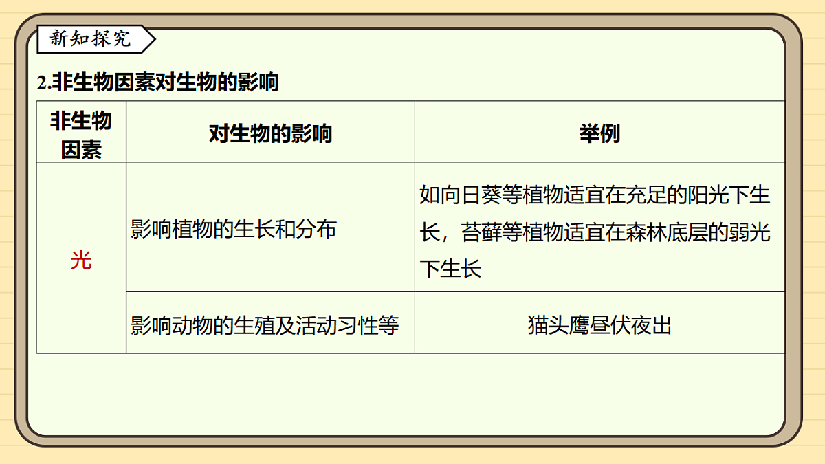 17619781第4页