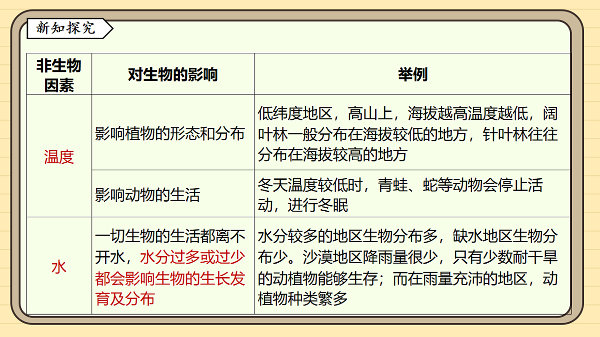 17619781第5页