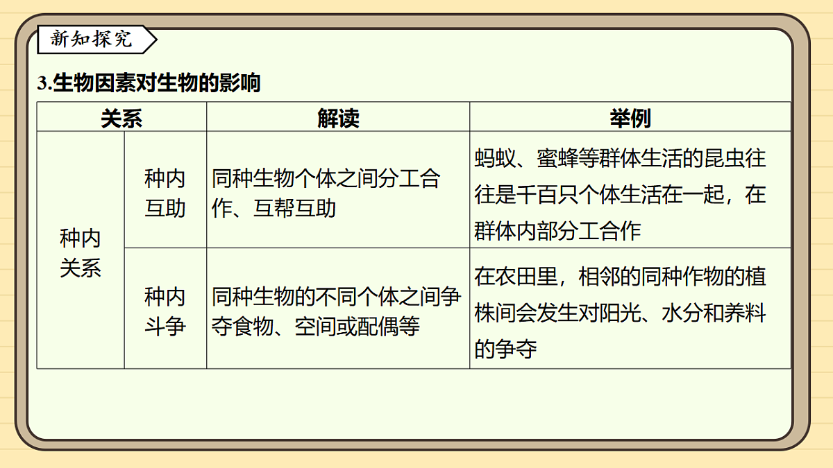 17619781第6页
