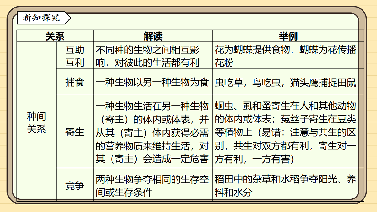 17619781第7页