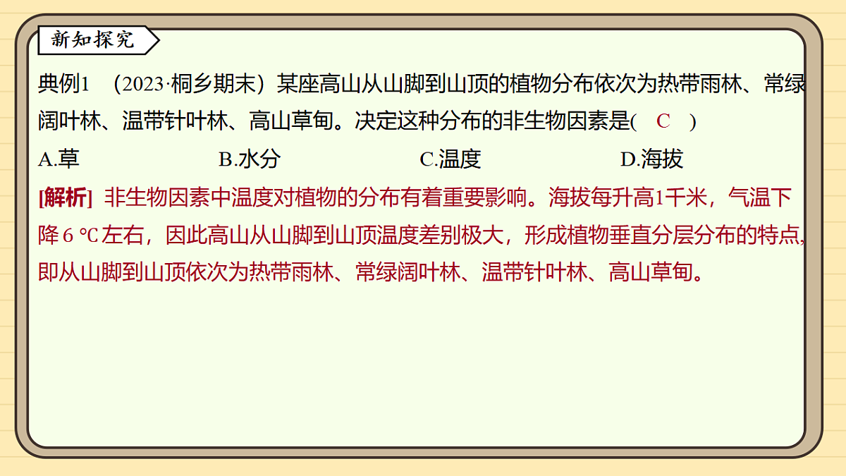 17619781第8页