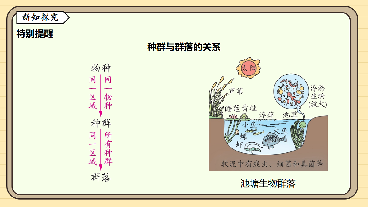 17619783第5页