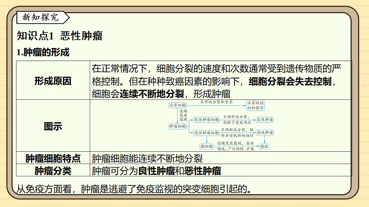 17619787第3页
