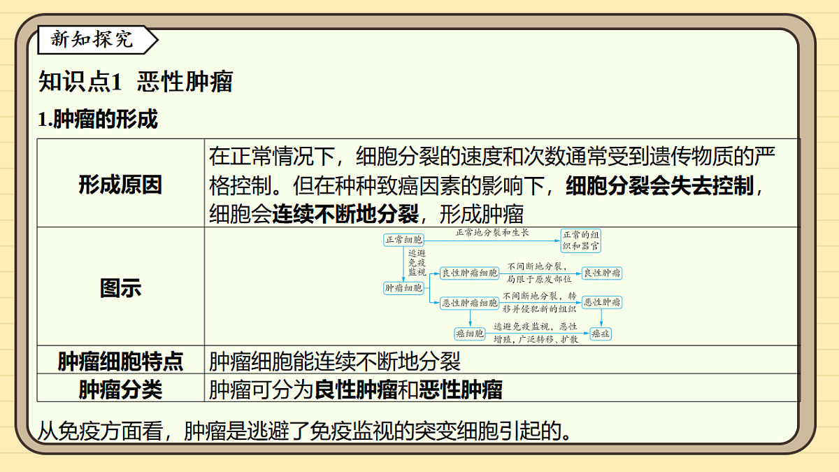 17619787第3页