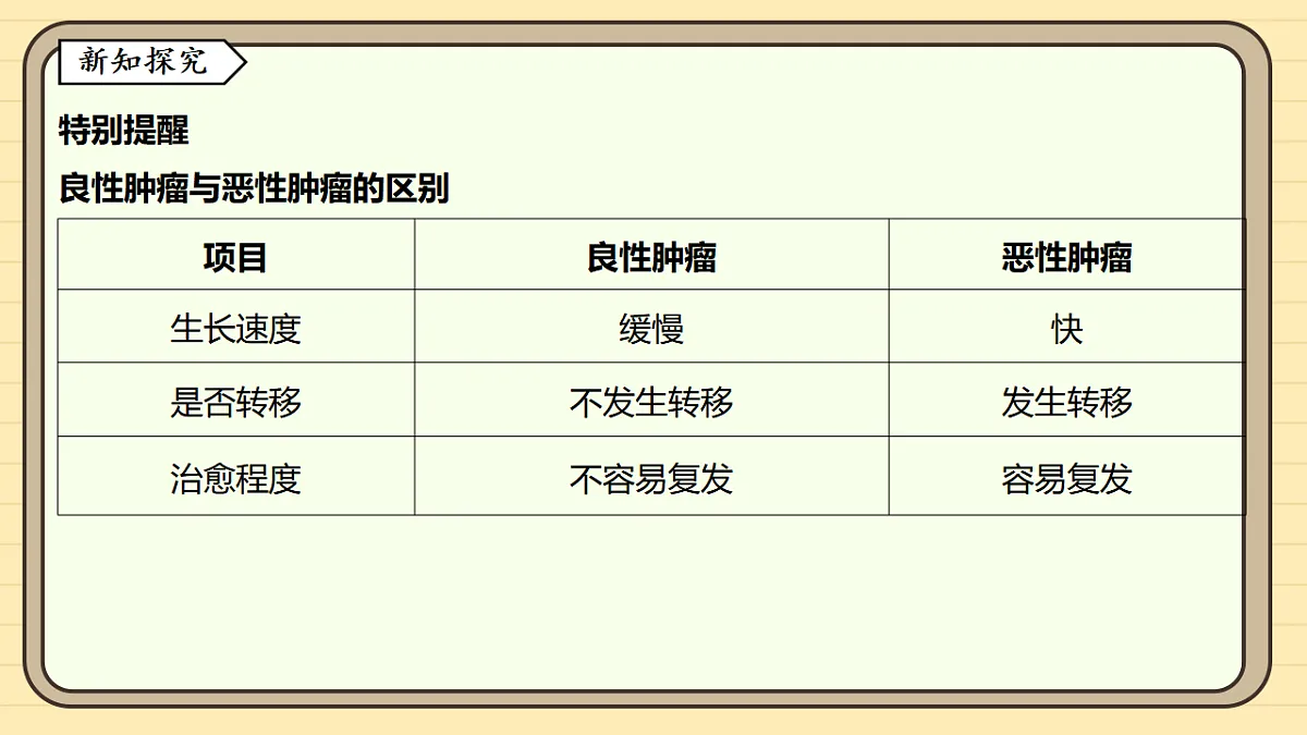 17619787第4页